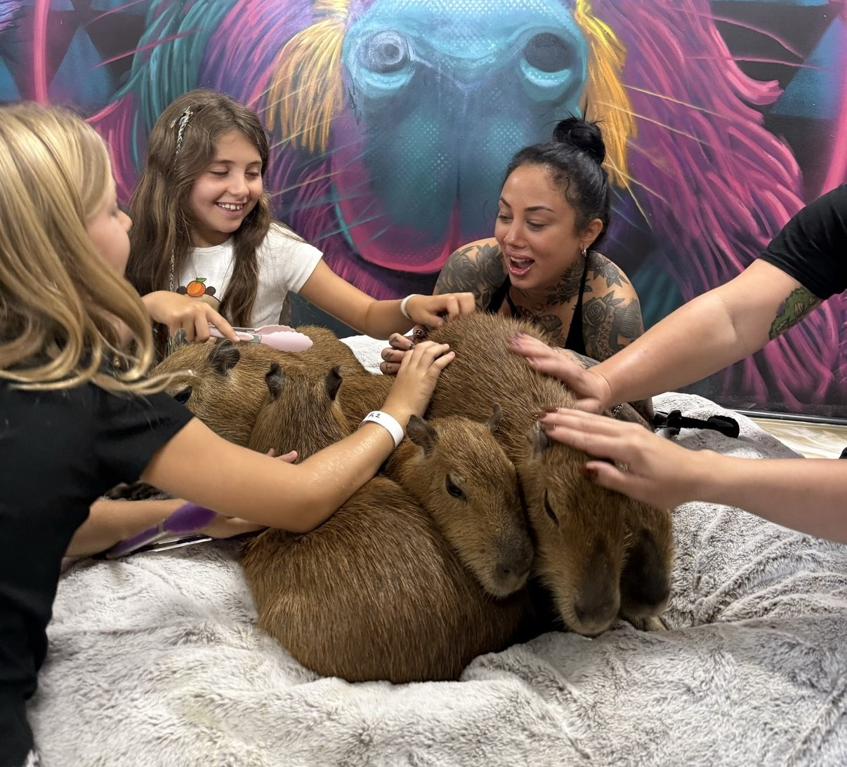Guests spending time with capybaras in the Capybara Lounge at Capybara Café Fort Lauderdale