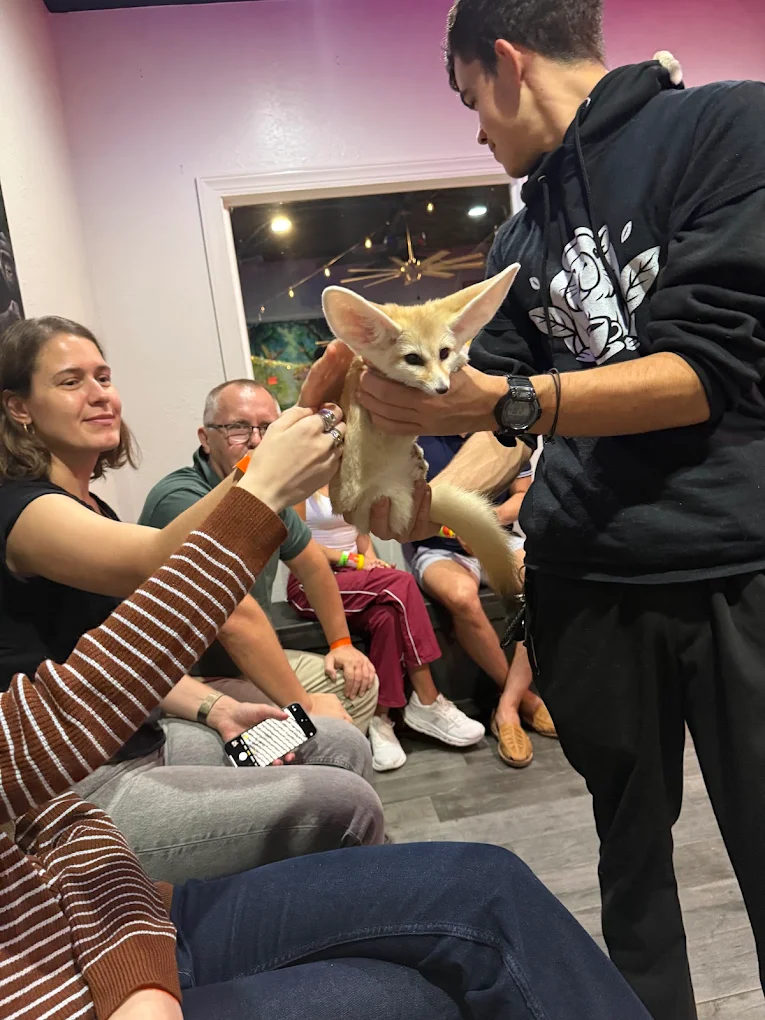 Guest holding a fennec fox during the Sunset Safari at Capybara Cafe Fort Lauderdale
