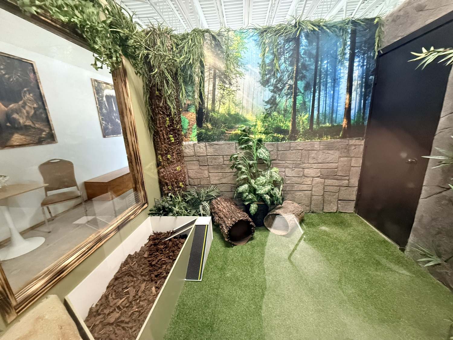 Forest habitat with dig box, log tunnels, and woodland mural